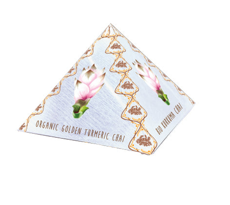 Organic Turmeric Chai Tipi®