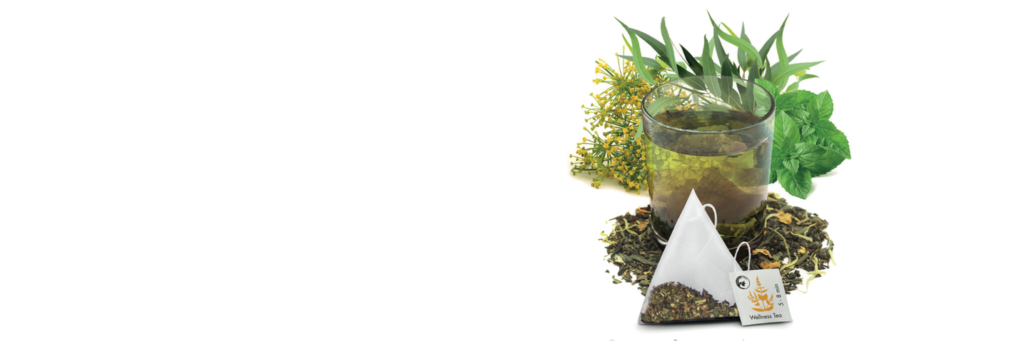 Bio Wellness Tea Tipi - Kräutertee